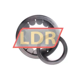 INA SL192314 rulman resim 2