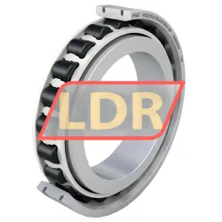 FAG N1011-D-K-PVPA1-SP-XL-R10-20 rulman resim 5
