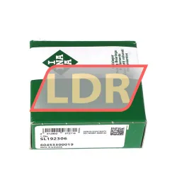 INA SL192306 rulman resim 3