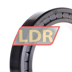 INA SL182938-B-XL rulman resim 2