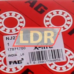 FAG NJ2210-E-XL-M1A-C4 rulman resim 5