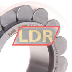 INA RSL182207-A-XL rulman resim 2