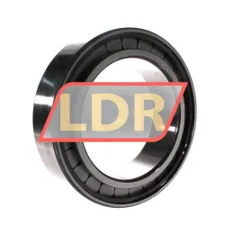 INA SL183032-A-C3 rulman resim 2