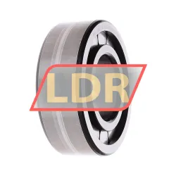 INA SL192315-C3 rulman resim 2