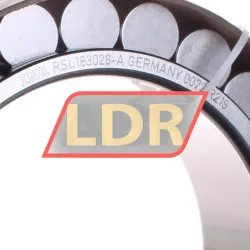 INA RSL183026-A rulman resim 2