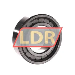 INA SL182209-A-XL rulman resim 2