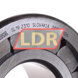 INA SL192310 rulman resim 2