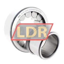 INA SL192309 rulman resim 2