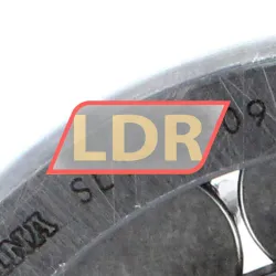 INA SL192309 rulman resim 4