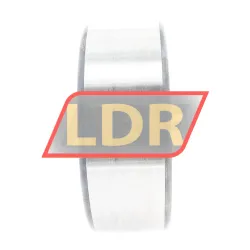 INA SL192309 rulman resim 5