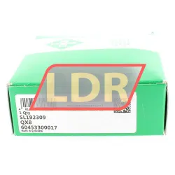 INA SL192309 rulman resim 6