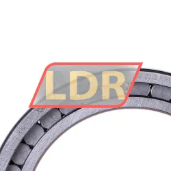 INA SL182920-B-XL rulman resim 2