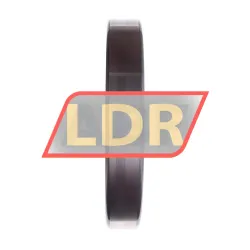 INA SL182934-B-XL-C3 rulman resim 3