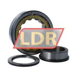 FAG NUP312-E-XL-M1-F1-C4 rulman resim 3