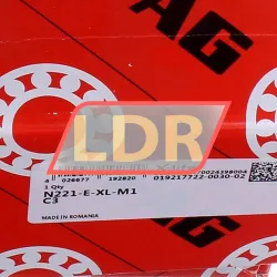 FAG N221-E-XL-M1-C3 rulman resim 6