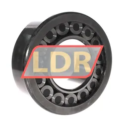 INA SL192319-TB-XL-C3 rulman resim 2
