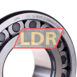 INA SL192317-C3 rulman resim 2
