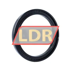 INA SL181838-A-BR