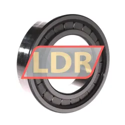 INA SL182215-A-C3 rulman resim 2