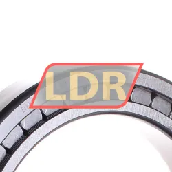 INA SL182926-B-XL rulman resim 2