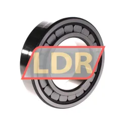 INA SL182218-A rulman resim 2
