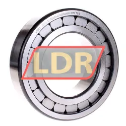 INA SL182220-A rulman resim 2