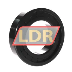 INA SL182216-A-BR-C3