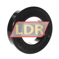 INA SL182216-A-BR-C3 rulman resim 2