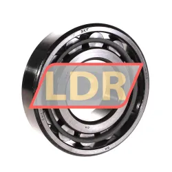 SKF N312