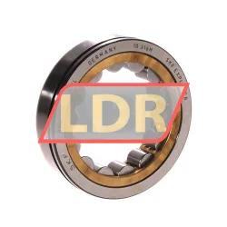 SKF RNU207ECNML