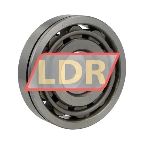SKF N409JN