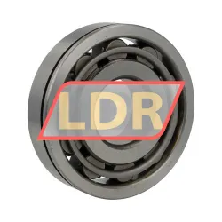 SKF N409JN