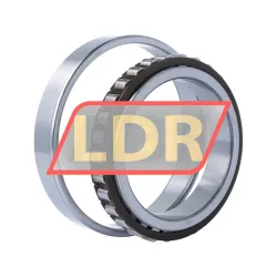 SKF N1020KTN9/SP rulman resim 4