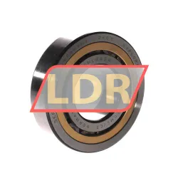SKF NJ309ECML/C3
