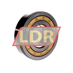 SKF NUP311ECNM/C3