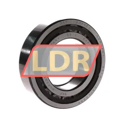SKF NUP2214ECP