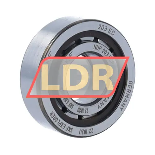 SKF NUP203ECP