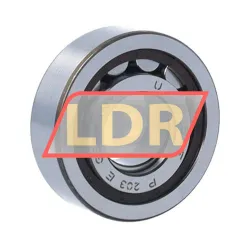 SKF NUP203ECP rulman resim 2