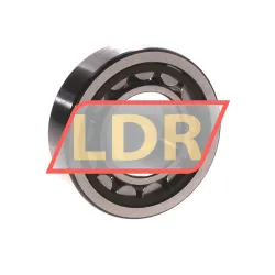 SKF NU206ECP/C3 rulman resim 2