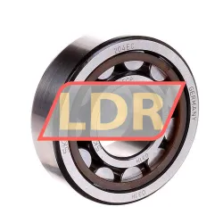 SKF NU204ECP