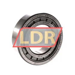 SKF NJ2211ECJ