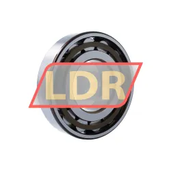 SKF N319ECP/C3 rulman resim 2