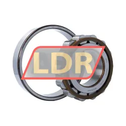 SKF N319ECP/C3 rulman resim 3