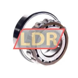 SKF N312ECP/C3 rulman resim 2
