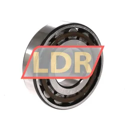 SKF N309ECP rulman resim 2