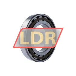 SKF N226ECP
