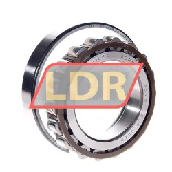 SKF N216ECP/C3 rulman resim 2