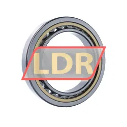 SKF NU1032ML/C3 rulman resim 2