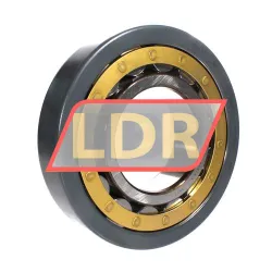 SKF NU322ECM/C3VL0241