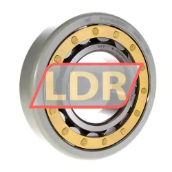 SKF NU319ECM/C3VL0241